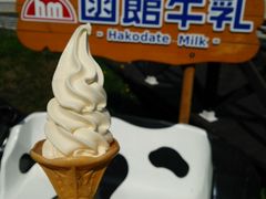 ���͂���̂������P�P�W�ւ̓��e�ʐ^1