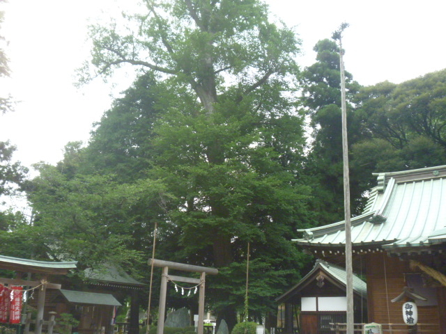 gV[̃iWW̖؁injj̓eʐ^1