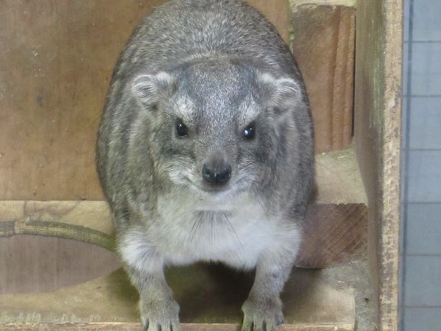 P[vnCbNX(^.^)
JڐŏΊ_sZOOMO