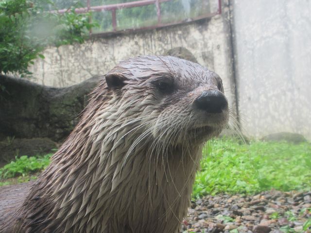 Ji_JE\̃JGf
ߌɂȂƃrrj(^O^)^_sZOOMO