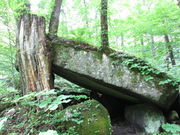 yosshy̐΃Pˋxe̓eʐ^2