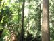 pekoさんの２１世紀の森公園への投稿写真2