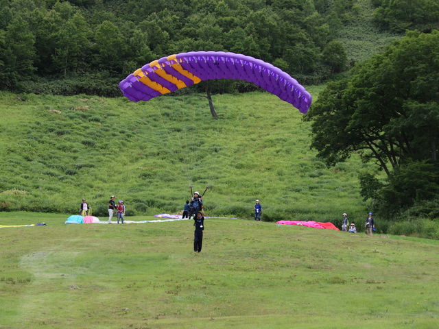 ���ꂢ�ɂƂׂ�_KPS�ߐ{�����p���O���C�_�[�X�N�[��