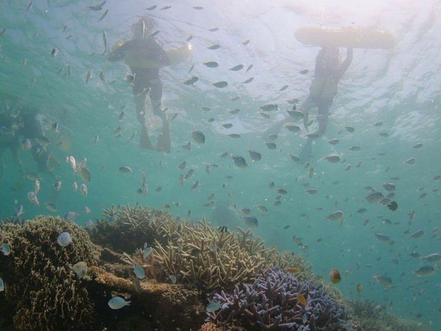 �X�^�b�t���񂪒�ɐ����ăV���m�[�P�����O���Ă���Ƃ�����B���Ă��ꂽ�ʐ^�ł�_�}�����T�[�r�X�A�|�����Ί_��