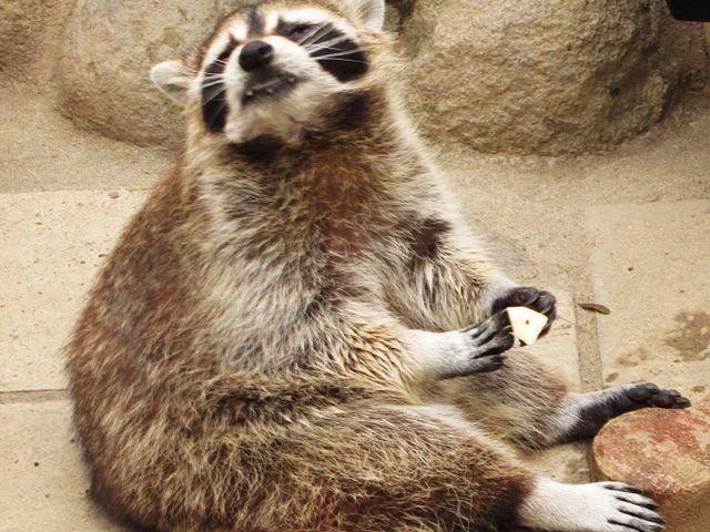 �����S��������ŁB_���͌���