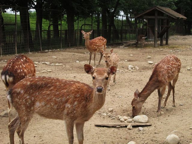 �Ȃ��������������Ă�B_���͌���