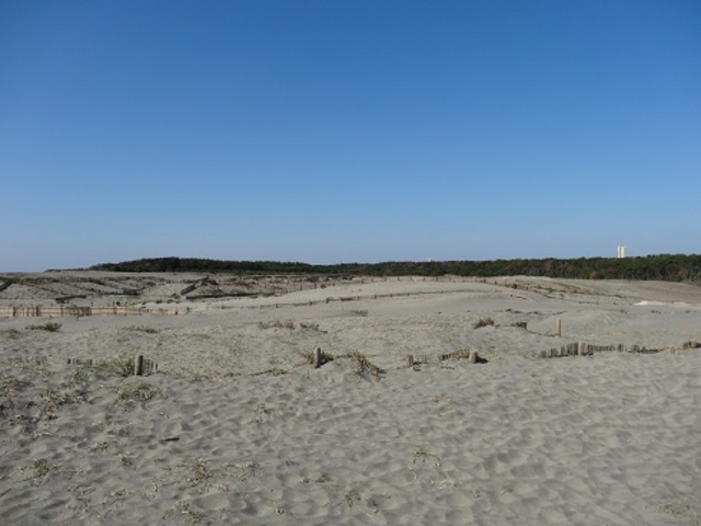 ���䂪�ڗ����܂�_���c�����u