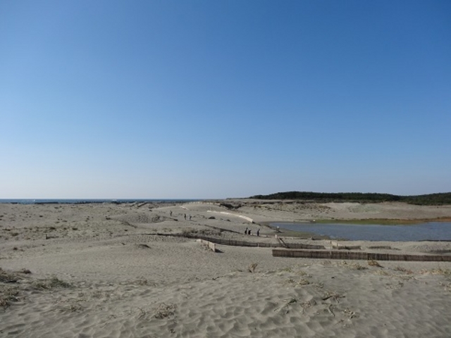 ���c�����u_���c�����u