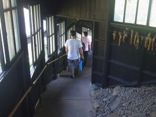 �H�c���E�哒���� �E��������_�哒����