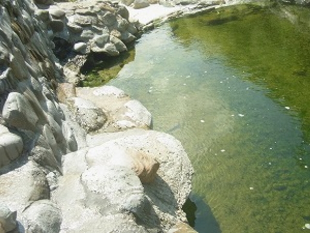 �H�c���E�哒���� �E��������_�哒����