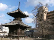 ibokorori̕ՏƎ̂ꂢ傤̓eʐ^1