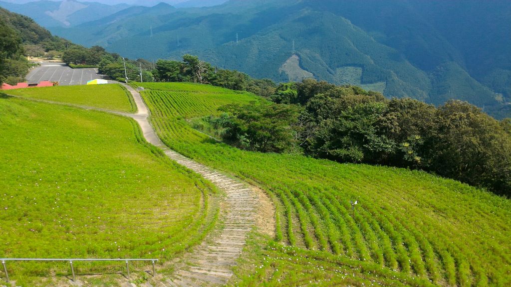 翠波高原