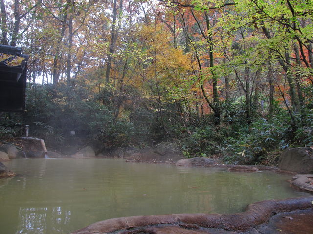 �V���ق̘I�V���C_⣂̌�����