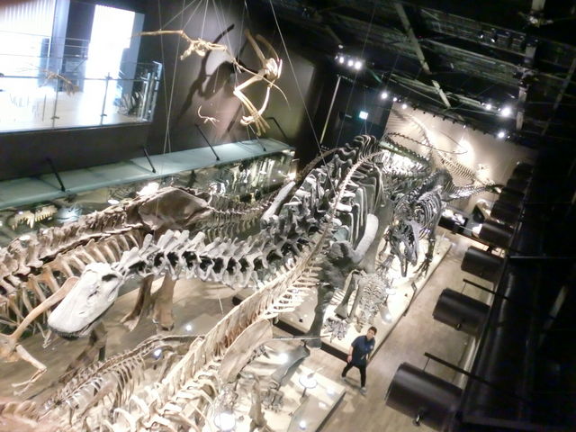 ���H����_��D������������