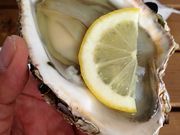 낤̏όYقӂ邳Ɩ{܂̓eʐ^2