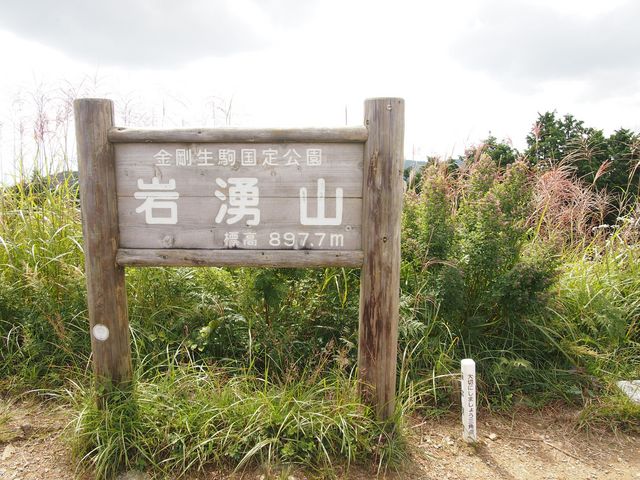 �O�p�_�ɓ����I_��N�R