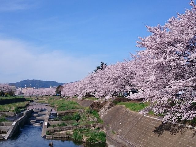 ���ɂ͍����R��������B_�����q�ό��R���x���V��������