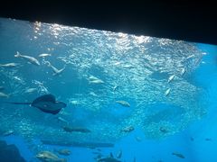 bV[̐䂤݂̓mقւ̓eʐ^1