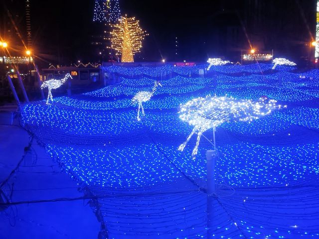 �z���C�g�C���~�l�[�V����_��ʌ���