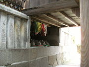 ibokorori����̋����@�̓��e�ʐ^2