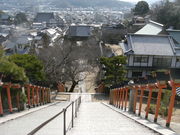 ibokorori����̐������̓��e�ʐ^2