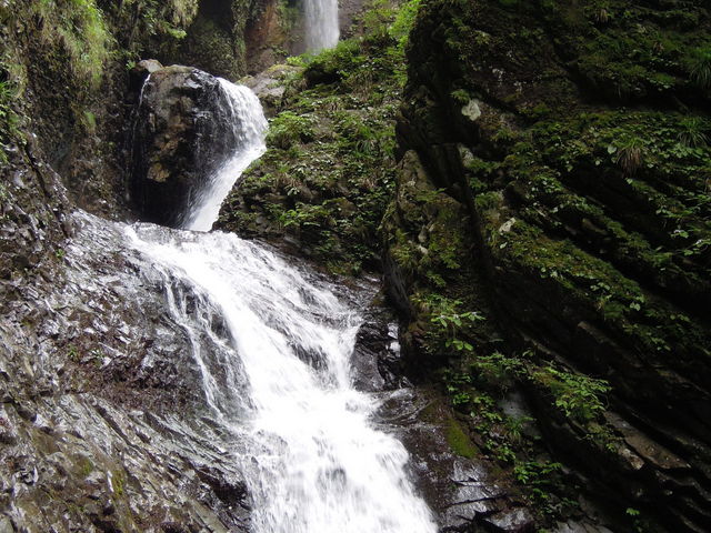 �����̑�A�c�ɂł������݂܂���B_�����̑�