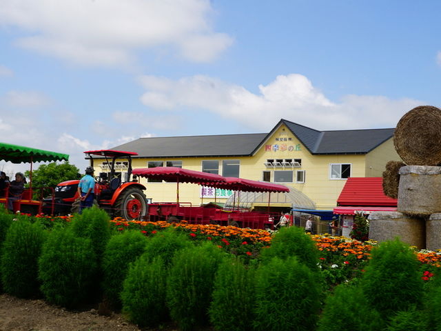 �����̃\�t�g�N���[�������܂��B_�l�G�ʂ̋u