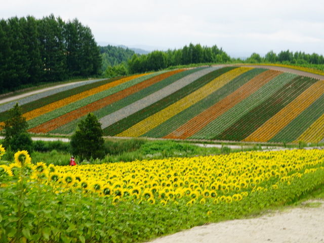 �V�b�N�ȐF�����̃T���r�A�́A�������������͋C�������o���B_�l�G�ʂ̋u