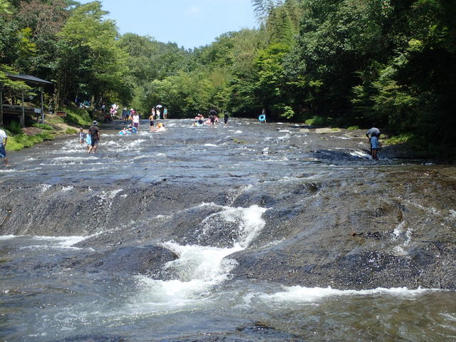 �㗬��������B_�䂤�������R�̐X�i���F�V�����L�����v��j