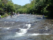 [ê䂤R̐XiFVLvj̓eʐ^1