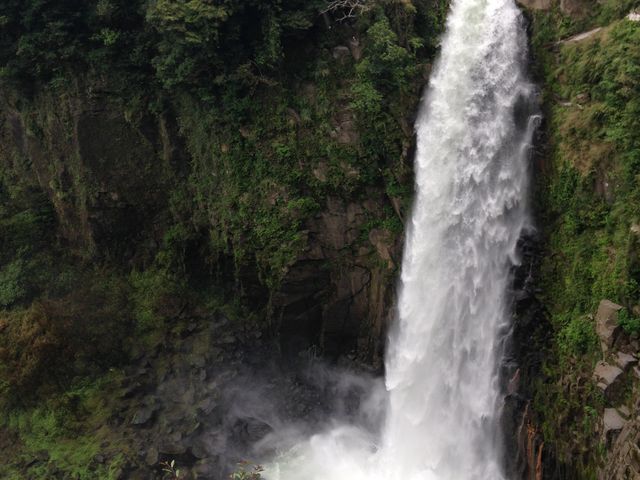 �W�]����_�Y��̑�