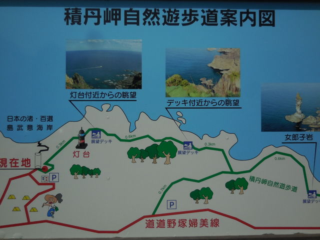 ���ԏ�t�߂ɂ��������_�ϒO��