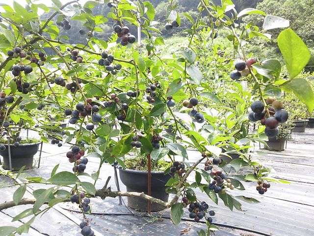 RȏꏊŔAȂ̂ŎqSĊy߂܂B_u[x[