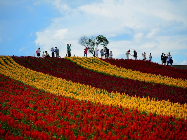 �l�G�ʂ̋u�Ŋy���ސl�X_�l�G�ʂ̋u