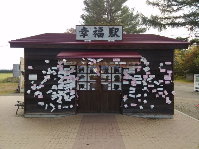 �w��_�K���w�i�K���S�������j