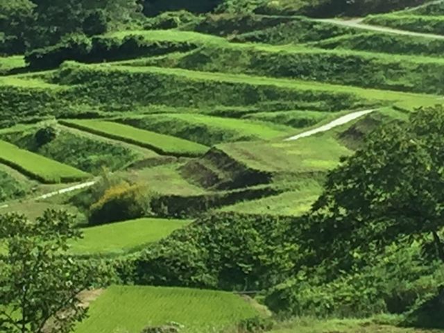 񂿂񂳂̎l̒Ic̓eʐ^1