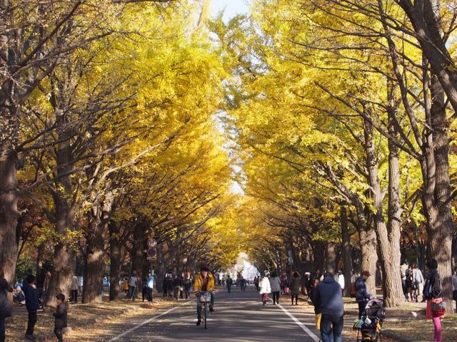 �k��C�`���E����