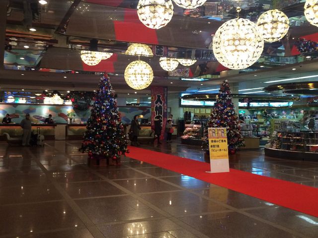 ��R�k�r���[�z�e��