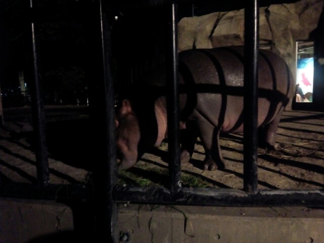 ���R������