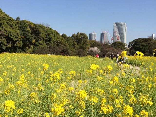 �l���{�����뉀