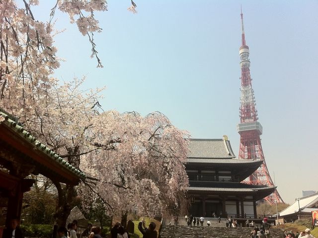 �Ō����y�ё��㎛�����̍�