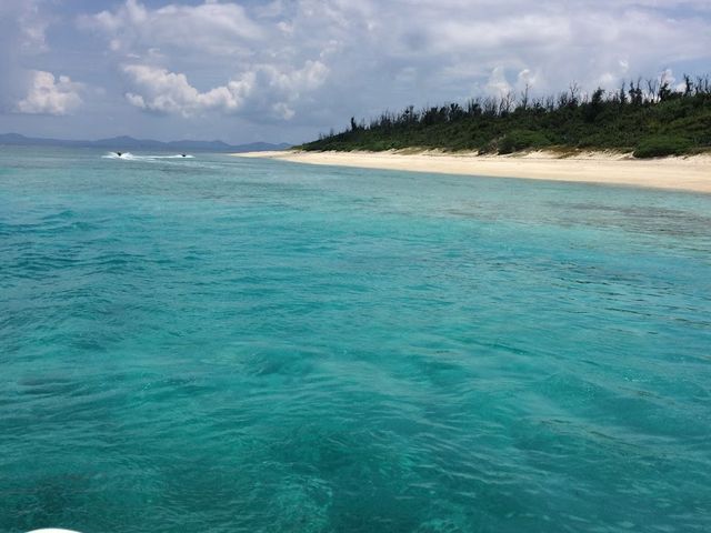 �I�[�V�����X�^�C��