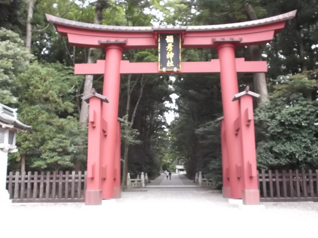 �咹��_�\�F�_��
