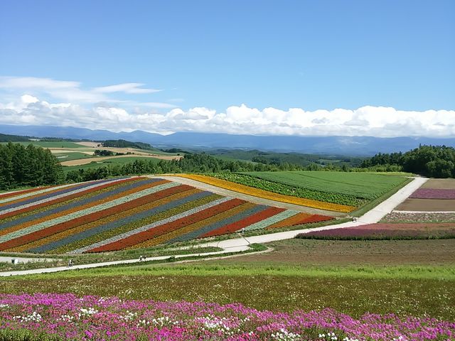 ���F�̋u_�l�G�ʂ̋u