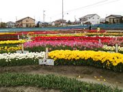 iwtaka̖k`[bv̓eʐ^1