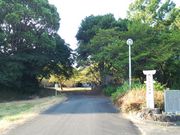 ���� �{����̑鋏�_�Ђ̓��e�ʐ^4