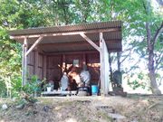 ���� �{����̑鋏�_�Ђ̓��e�ʐ^5