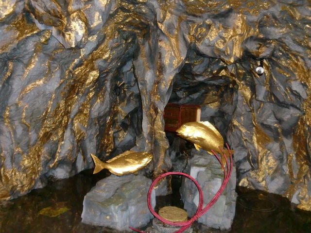 �Q�C�̋��̑�̃��v���J_�n�ꔎ���ّ␶���R