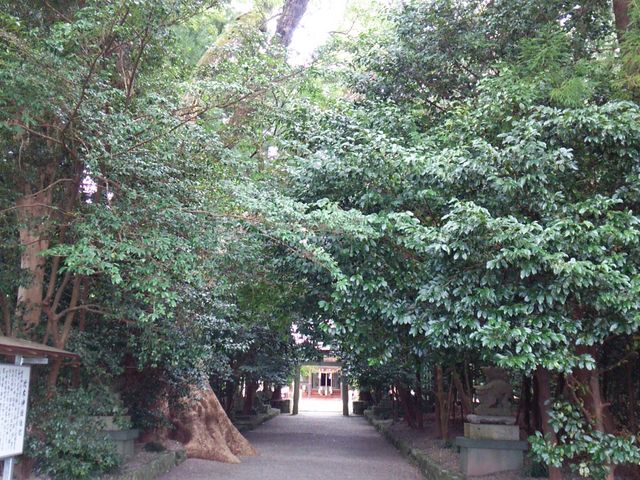 �Q���͗т̂悤�B_��ؐ_��