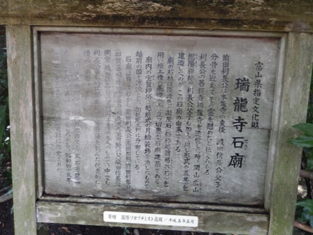 �Ε__������